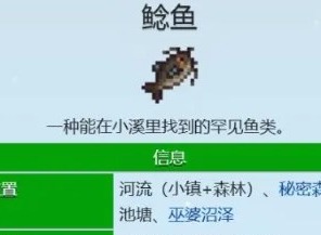 星露谷物語鯰魚在哪釣 星露谷物語鯰魚出現(xiàn)的時間