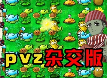 植物大戰僵尸雜交版2.1版全屏方法 pvz雜交版2.1最新全屏方法