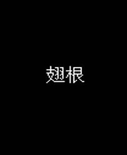 《刀魚傳奇》簡體中文免安裝版