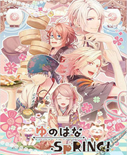 《百花百狼：戰(zhàn)國忍法帖》日版+DLCPSV版